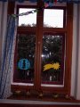 P_P1010067.jpg